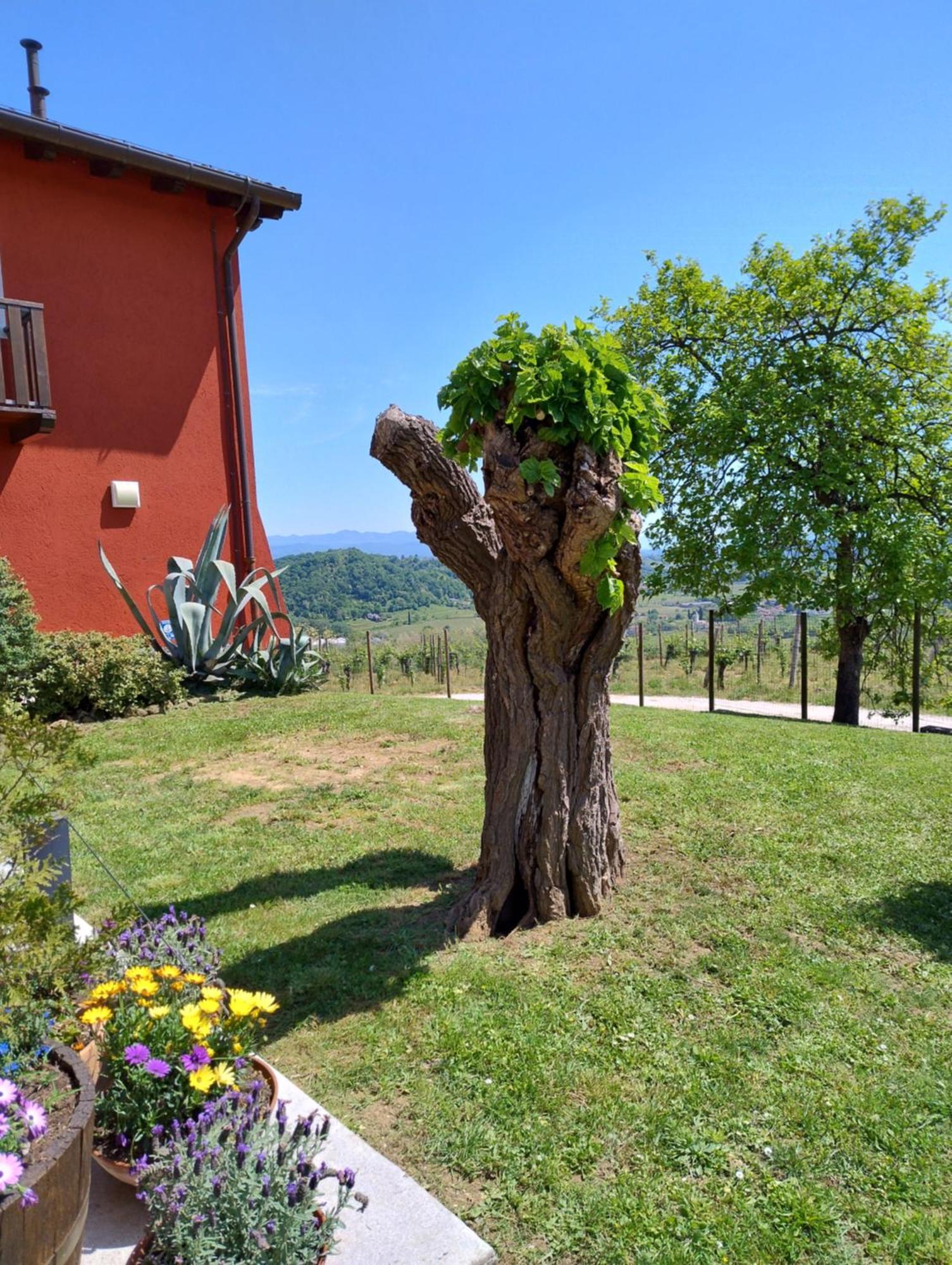 Le Badie Albergo Ristorante Rosazzo Exterior foto